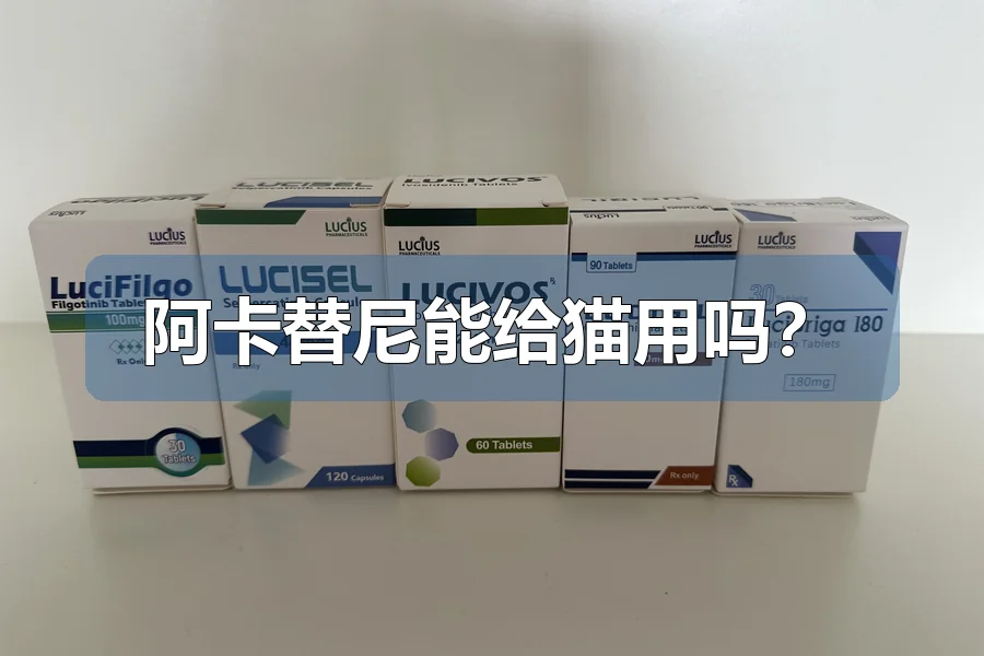 阿卡替尼能给猫用吗？