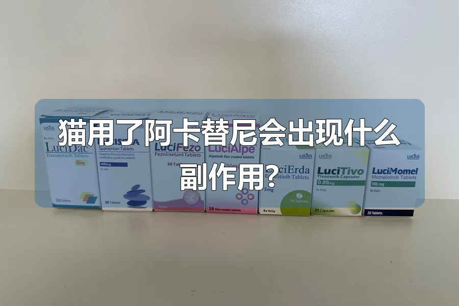 猫用了阿卡替尼会出现什么副作用?