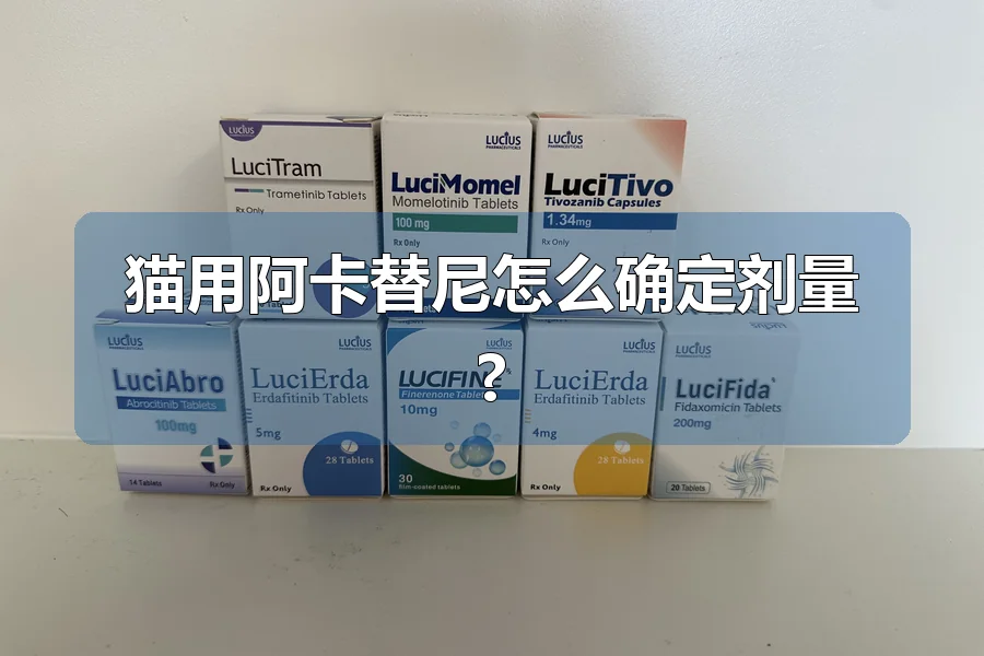 猫用阿卡替尼怎么确定剂量?